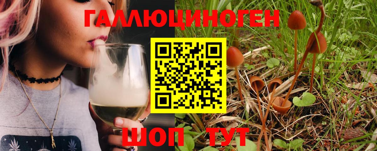 Псилоцибиновые грибы MAGIC MUSHROOMS  Вход с VPN  Галлюциногенные грибы мухоморы  Балахна 