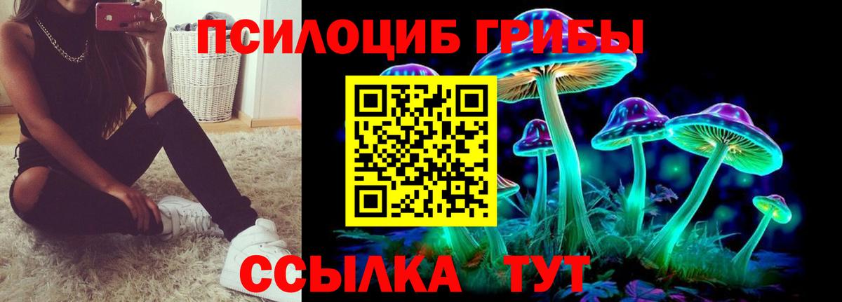 Псилоцибиновые грибы MAGIC MUSHROOMS Балахна